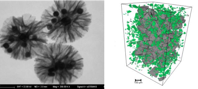 石柱石柱蔡司石柱扫描电镜